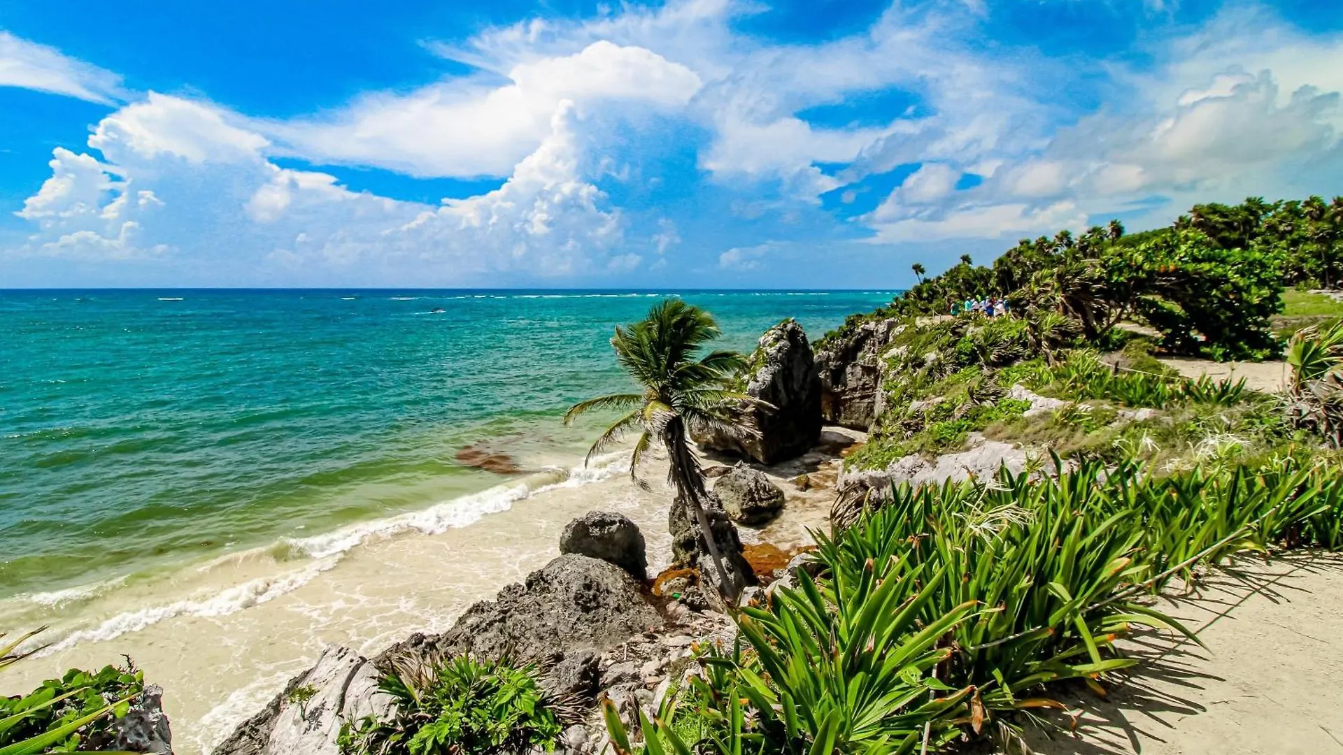 Aparthotel Casa Xila 102 Torre Jungla à Tulum